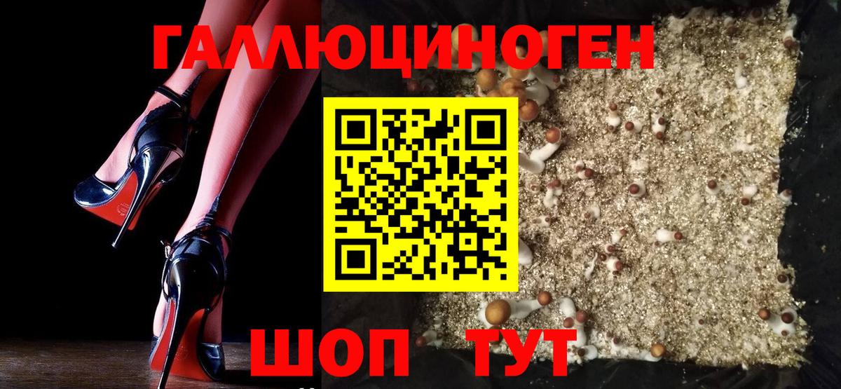 Псилоцибиновые грибы мицелий Борисоглебск