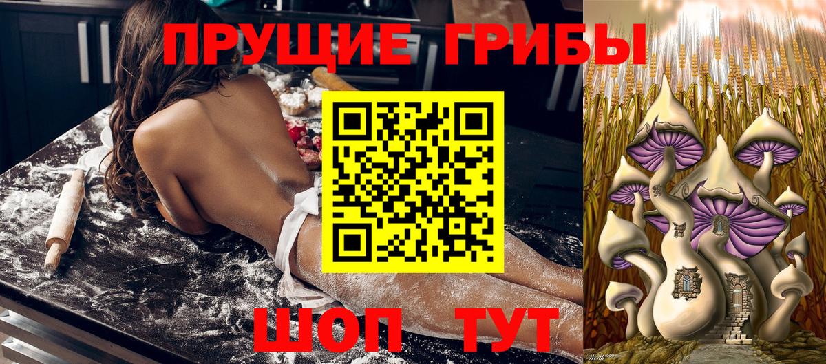 Борисоглебск  Галлюциногенные грибы Magic Shrooms  Вход с VPN 